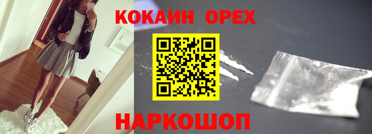 где найти наркотики  Вход с VPN  Новозыбков  Кокаин 99% 