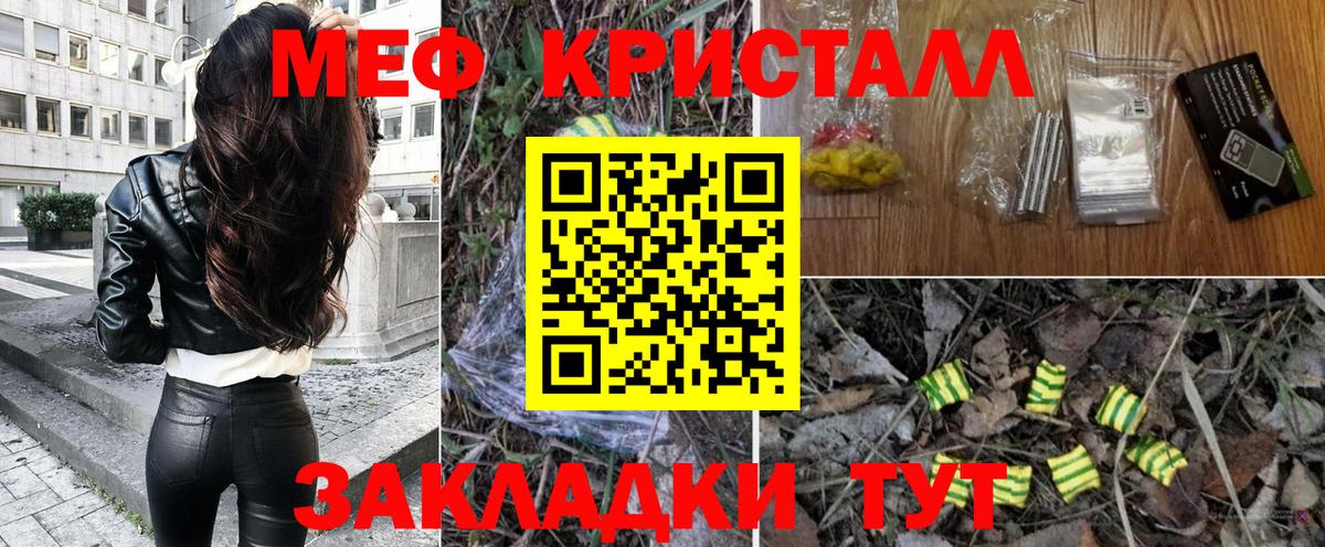 МЕФ  Новозыбков
