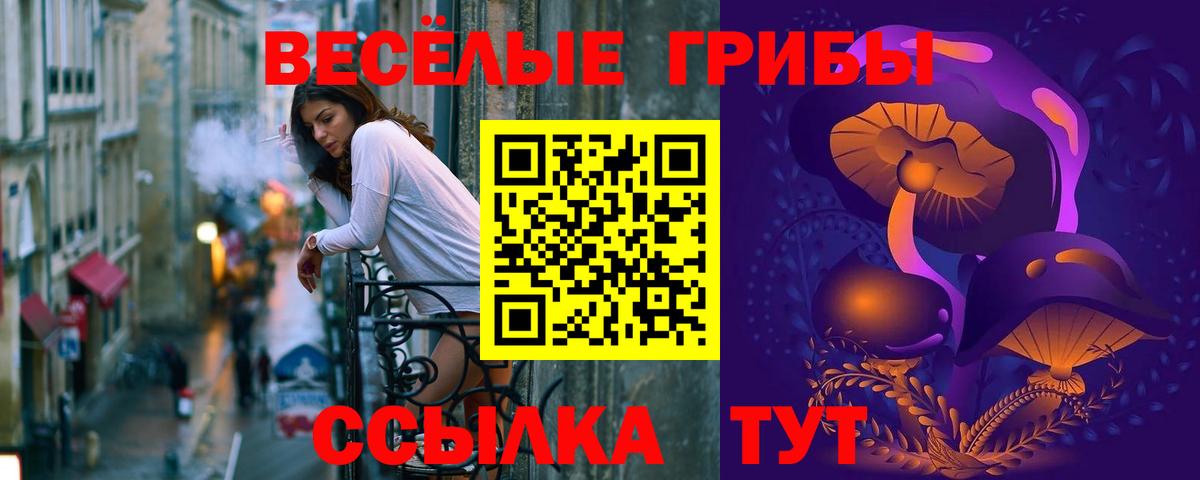 Псилоцибиновые грибы Magic Shrooms Новозыбков